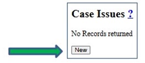 Screenshot of Case Issues section of Case Maintenance screen. New button is indicated by an arrow.