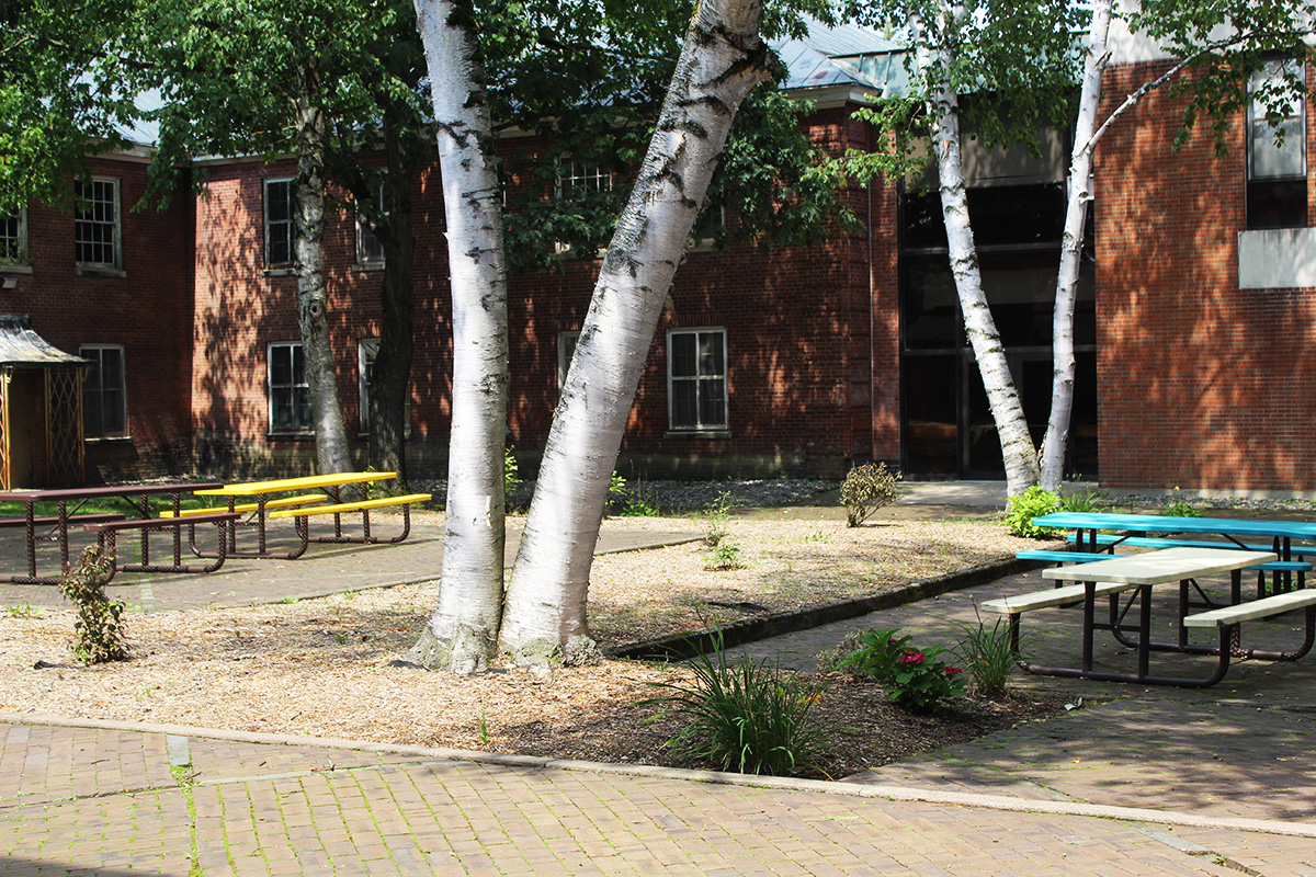 School courtyard - August 2023