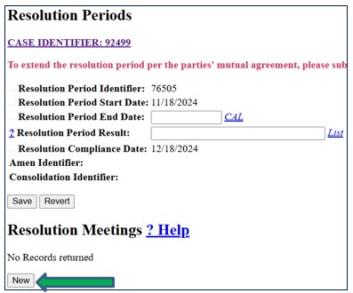 Screenshot of resolution data entry screen. New button is indicated by an arrow.