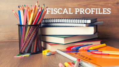 School District Fiscal Profiles